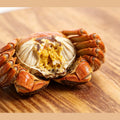Premium Whole Crabs